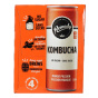 Back of Remedy Sugar-Free Kombucha Mango Passion, 4 x 330mL cans