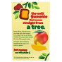 Back of Solely Organic Mango Whole Fruit Gummies, 100g
